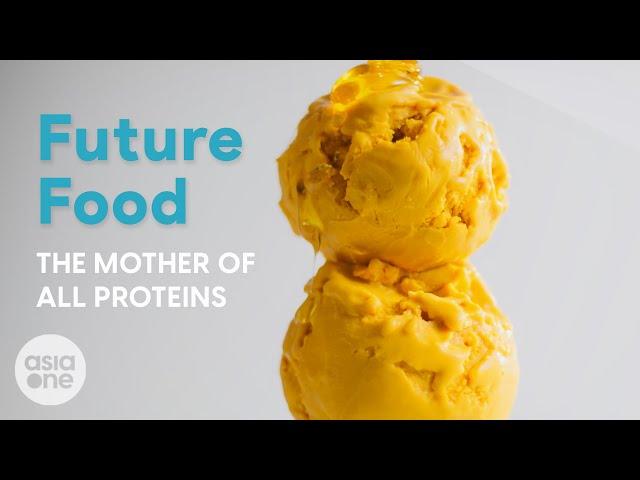 Protein made from air? | Future Food