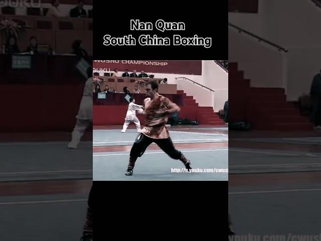 Nan Quan South China Boxing #kungfu #martialarts #neuquen #karate