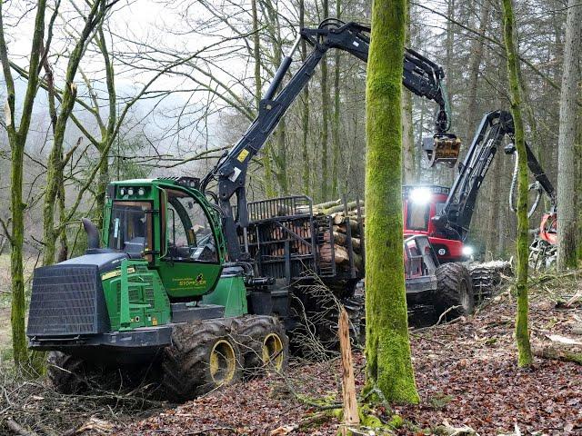 *Durchforstung* • Komatsu 951 & C164 & John Deere 1510E • HarvesterAction • heavy • Fast working