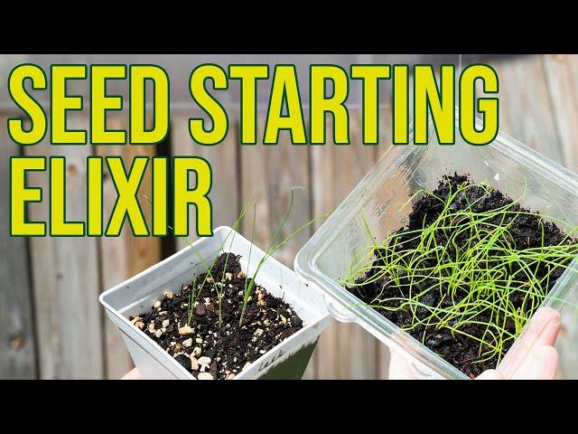 Seed Elixir: Making and Using Lactic Acid Bacteria