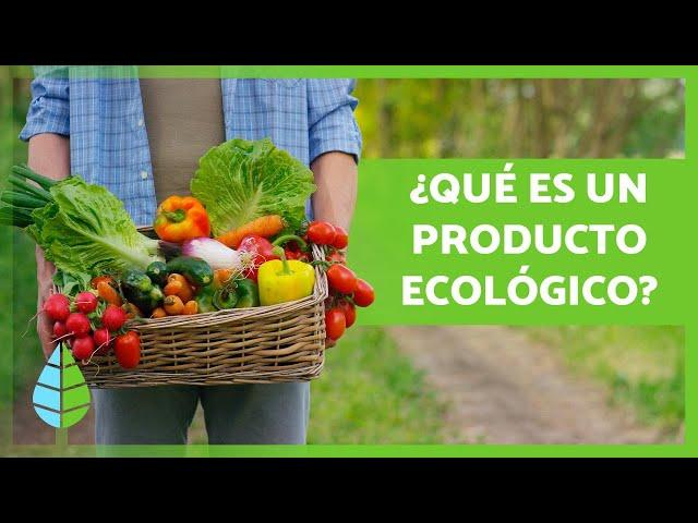 PRODUCTOS ECOLÓGICOS  (Qué son, Beneficios y Ejemplos)