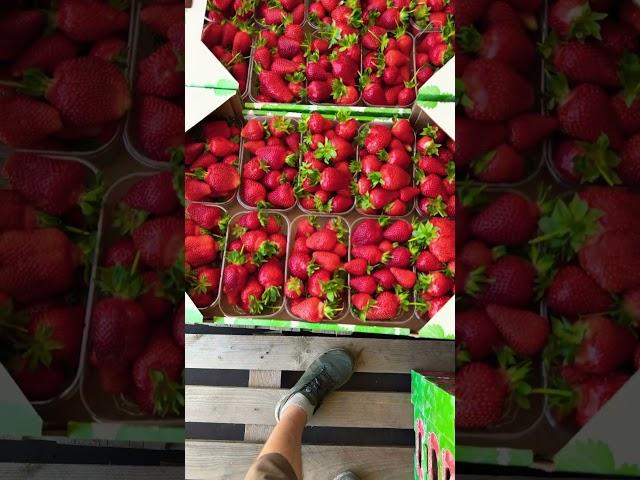 Азия на Ижевск
