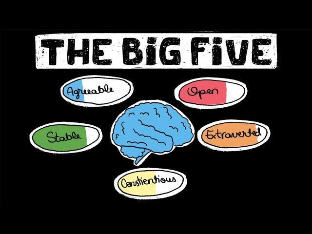 The Big 5 OCEAN Traits Explained - Personality Quizzes