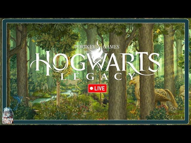 MEIN ERSTER TAG IN DER NEUEN SCHULE - HOGWARTS LEGACY - PC LET'S PLAY - DEUTSCH - LIVE