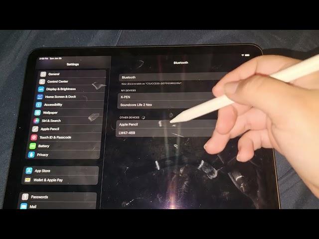 Stylus Pen for iPad