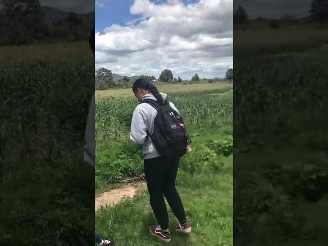 Me my sister and my cousin in the cornfield