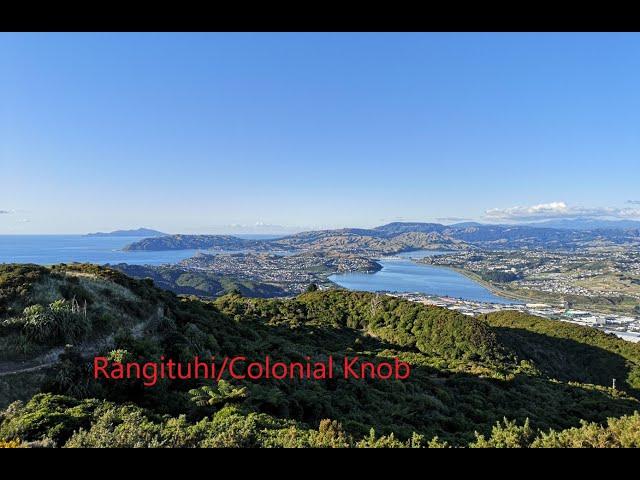 Colonial Knob walkway - Te Ara a Rangituhi