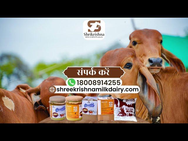 Best A2 Cow Milk Supplier in Pune | Desi Cow Ghee Supplier in Pune | A2 Cow Milk