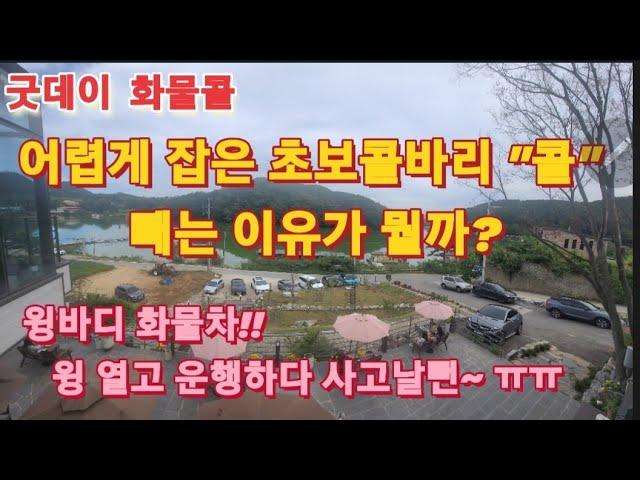 《굿데이 화물콜》83, 어렵게 잡은 초보 콜바리 "콜"을 빼버리는 주선사!! 왜일까? & 윙바디 화물차!! 윙 열고 운행하다 사고날뻔~ㅠㅠ