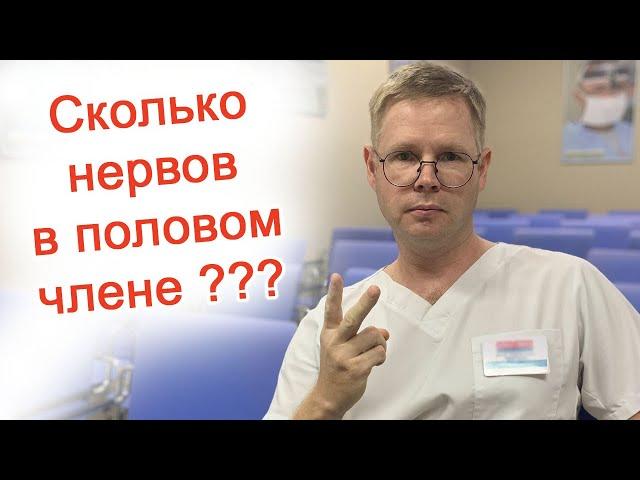Сколько нервов в половом члене? / Доктор Черепанов
