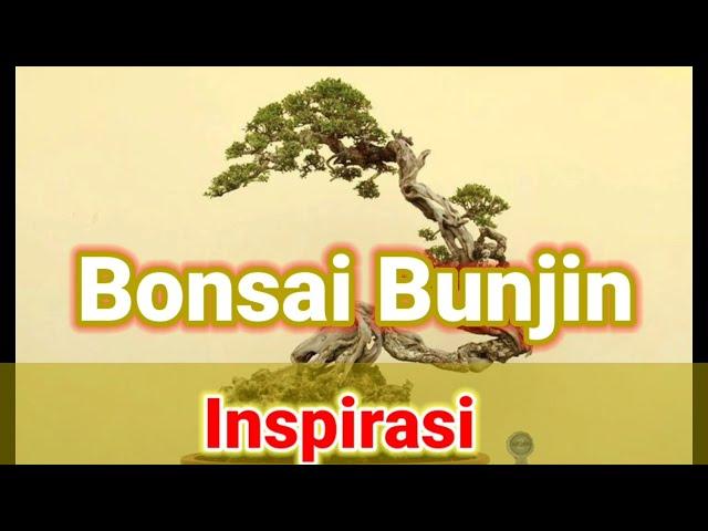 kumpulan bonsai gaya bunjin