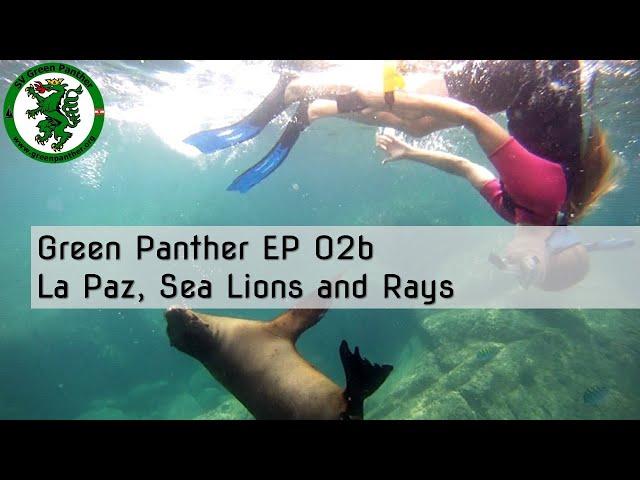 GP EP02b "Viva Mexico" part B - La Paz, Sea Lions and Rays