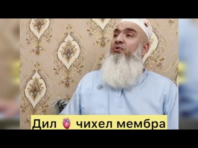 ДИЛ ЧИХЕЛ МЕМБРА Мавлави Бохтари