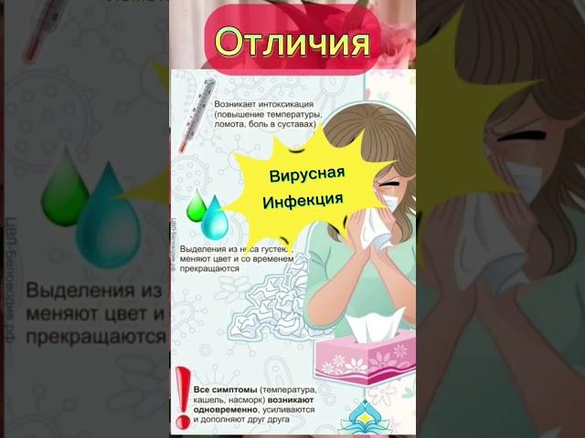 Отличие вирусной инфекции от аллергии