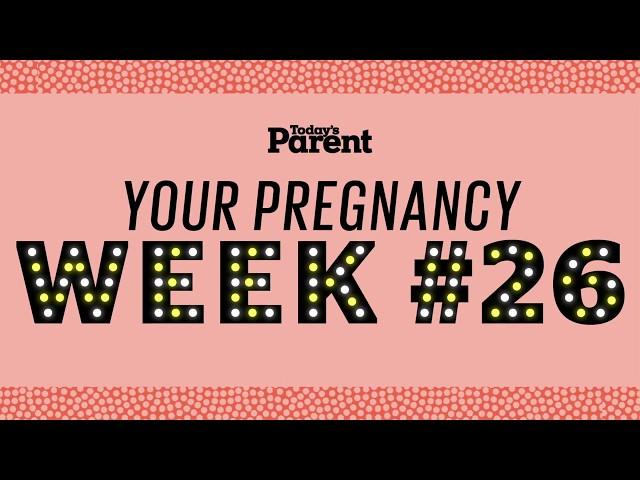 Your pregnancy: 26 weeks