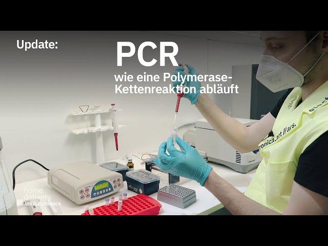 Update: PCR – how a polymerase chain reaction works