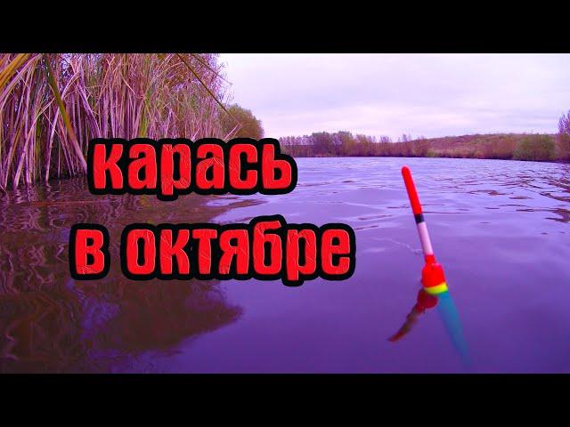 НА ЧТО ЛОВИТЬ КАРАСЯ В ОКТЯБРЕ.Рыбалка на карася .Эксперементы с наживками.