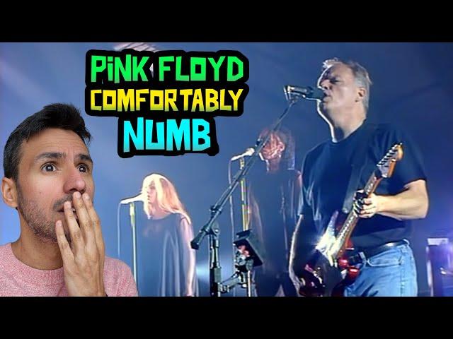 Pink Floyd - Comfortably Numb (REACTION) WRITER REACTS FOR THE FIRST TIME