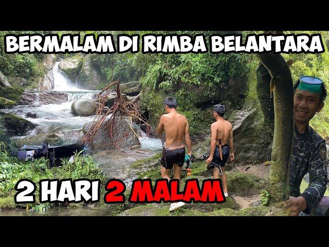 Menjelajah Hutan Rimba Petualangan Hulu Sungai | Fishing Camping Adventure