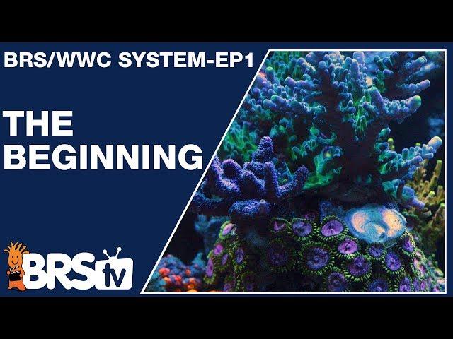 Ep1: How we setup a simple and stable reef tank | The BRS/WWC System