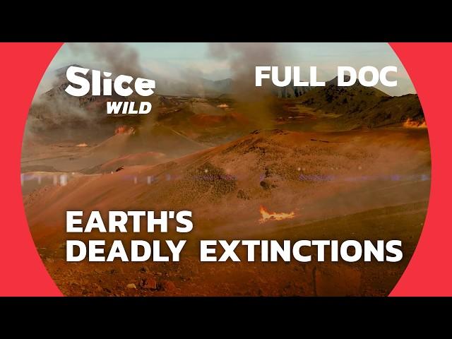 Surviving Earth's 5 Mass Extinctions: A Prehistoric Journey | SLICE WILD | FULL DOC