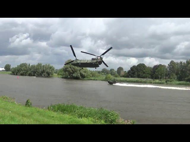 Chinook chasing a boat