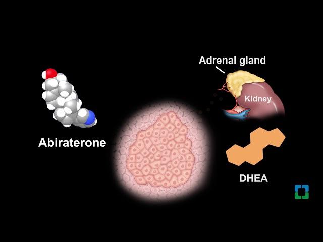 New Cleveland Clinic Study Finds Prostate Cancer Drug Byproduct Can Fuel Cancer Cells