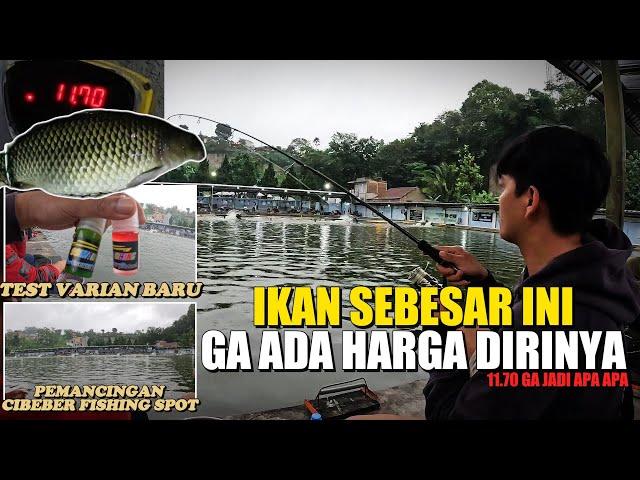 GALATAMA IKAN MAS DI PEMANCINGAN CIBEBER FISHING SPOT CIMAHI | KETIKA LUPA BAWA ESSEN ANDALAN