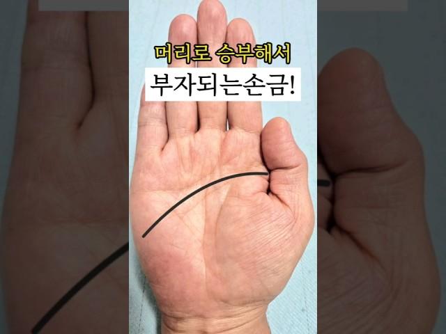 머리로 승부해서부자되는손금! #손금 #손금보기 #손금보는법 #부자손금