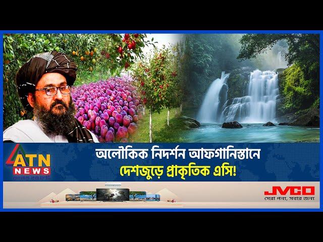 যেভাবে গরম নিয়ন্ত্রণ করে প্রসংসায় ভাসছে আফগান সরকার | Afghanistan Weather। Green Area | Ashraf Ghani