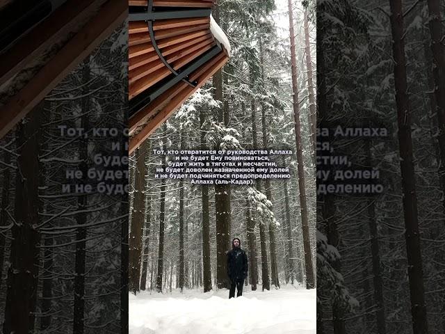 #ислам #истина #религия #коран #аллах #сура