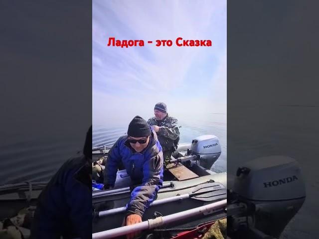 #охота #россия #ладога #рыбалка #fishing #озеро #природа 