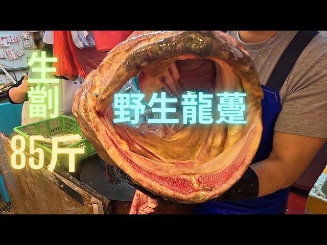 生劏85斤巨獸級野生龍躉, 火鍋爽滑脆油,可遇不可求 ~fishcutting香港海鮮~社長遊街市Seafood