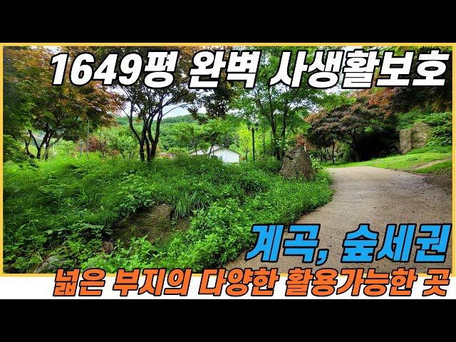 양평전원주택 매매 1649평 넓은땅 완벽한 사생활보호 숲세권 계곡접한 청정자연 전원주택 급매물전문 양평시대 16587[강하면]