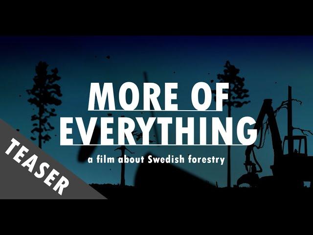 More Of Everything - TEASER