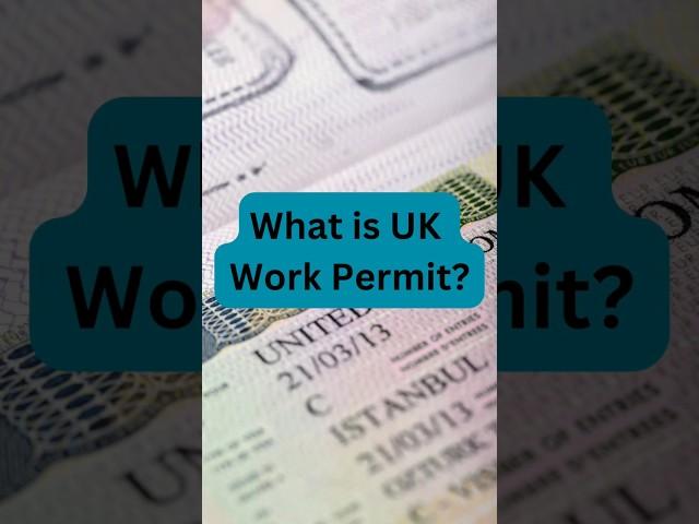 What is Uk Work permit? | Uk Immigration Navigator