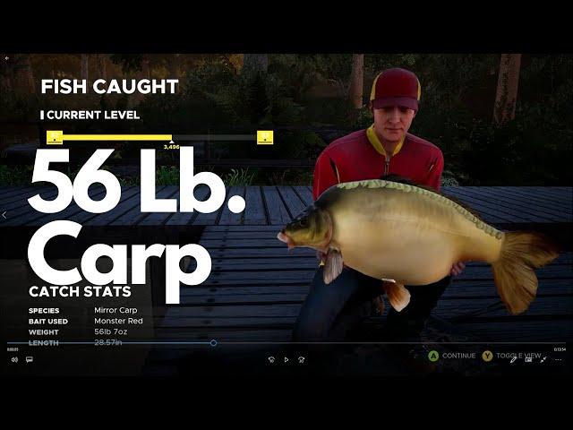 Fishing Sim World - Rhine Valley Championship Round 2 - Waldsee Germany - Carp