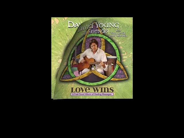 David Young & Friends LOVE WINS album sampler