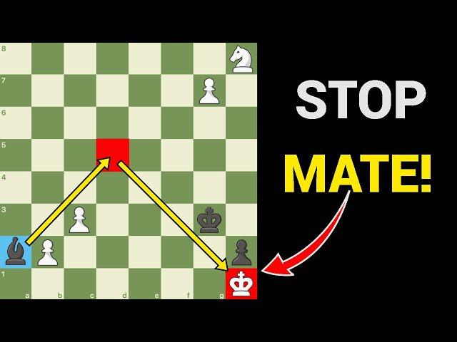 5 Chess Puzzles Guaranteed To Fool You