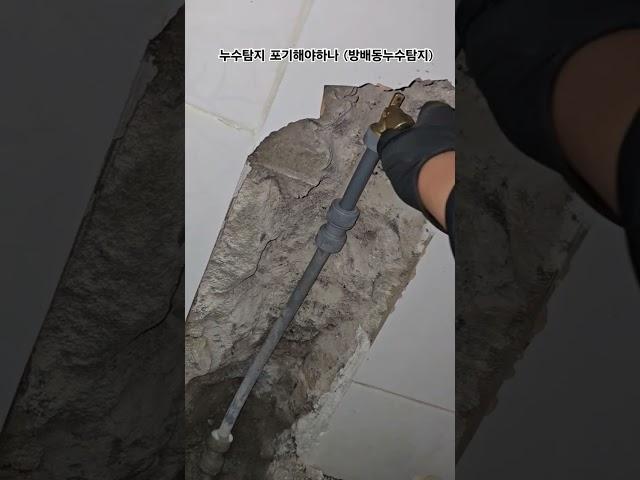 누수탐지 포기하고싶네요 (방배동누수탐지)