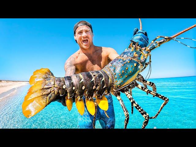 Catching Giant Lobsters For Food On Remote Island