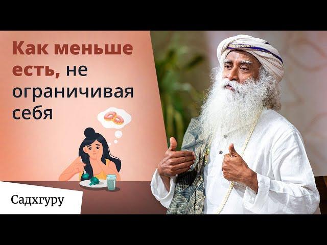 Привычки питания, которые изменят вашу жизнь