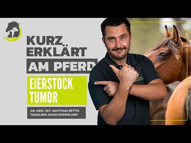 EIERSTOCKTUMOR -  Verhaltensauffälligkeiten, Diagnose, OP und Therapie. Kurz erklärt am Pferd.