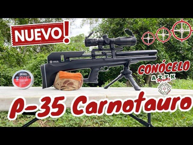 ESTE RIFLE TE VA A DEJAR IMPRESIONADO ‼️ Probamos el p35 carnotauro y este fue el resultado