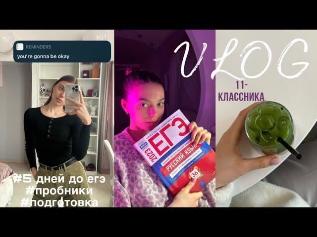 STUDY VLOG| 5 дней до егэ, пробники, подготовкаучусь 24 часа