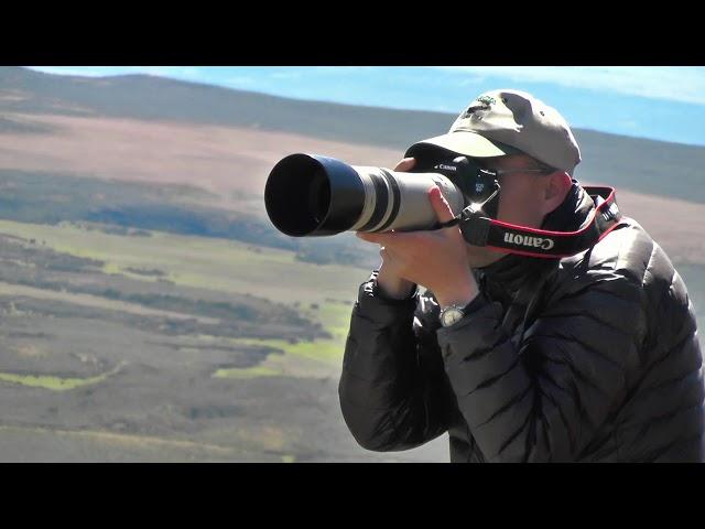 Condor Cliffs, one hour by car from Punta Arenas, Patagonian Chile