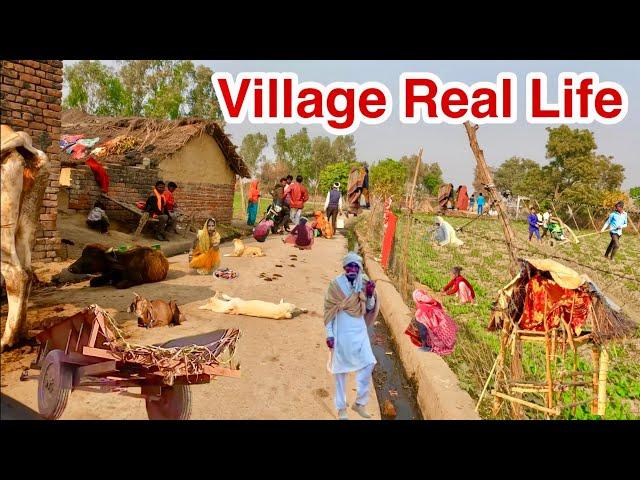 Some Undiscovered Villages Of India [] Very Poor Village In Uttar Pradesh [] Real Life India Daily.