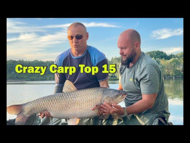 Рибалка на Уляниках! Crazy Carp Best of 15 Fish! Карпфішинг 2024!