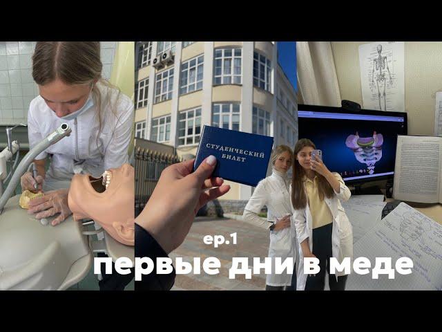 VLOG: начало 1 курса в меде // стомат ‍️// моя адаптация к учебе