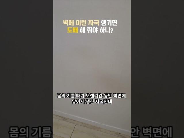 집주인이 벽이 더럽다고 도배하고 나가래요 #벽지손상 #도배원상복구
